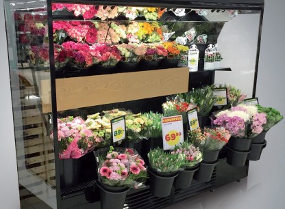 Blomsterkyl med 6 hyllor 1900x785x2000 mm R290a med glasdörrar